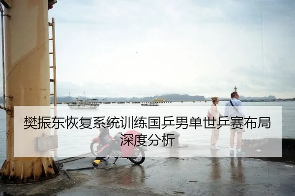 樊振东恢复系统训练国乒男单世乒赛布局深度分析