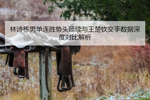 林诗栋男单连胜势头延续与王楚钦交手数据深度对比解析
